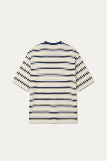 Boxy Fit Striped Short Sleeve T-Shirt
