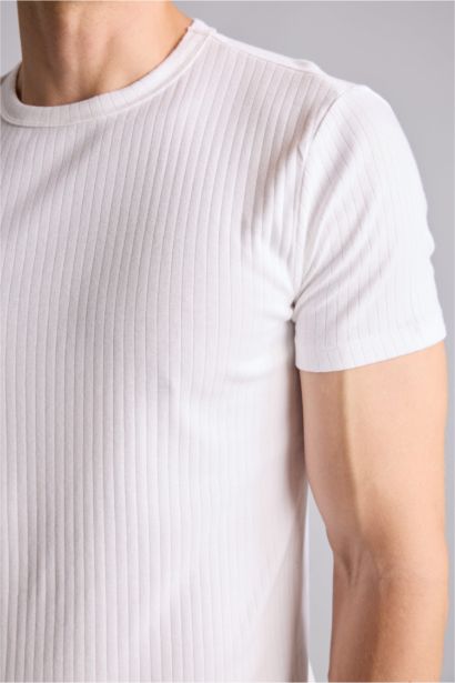 Slim Fit Short Sleeve Knitted Tops
