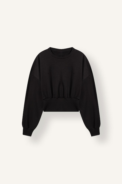 Standard Fit Sweatshirt