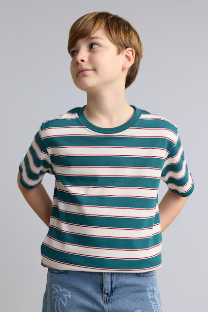 Boy Regular Fit Striped Crew Neck Short Sleeve T-Shirt