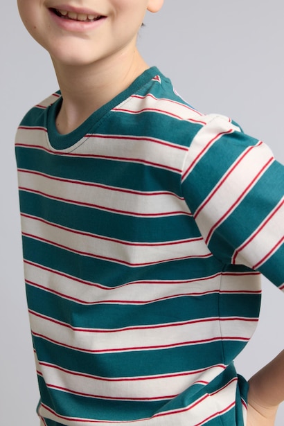 Boy Regular Fit Striped Crew Neck Short Sleeve T-Shirt