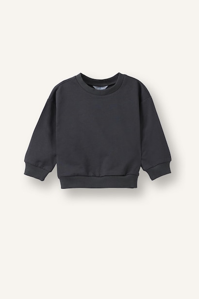 2 piece Regular Fit Basic Crew Neck Sweatshirt