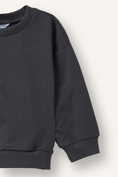 2 piece Regular Fit Basic Crew Neck Sweatshirt