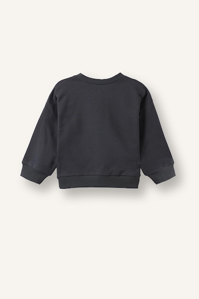2 piece Regular Fit Basic Crew Neck Sweatshirt