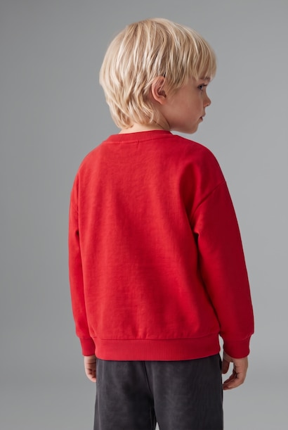 Baby Boy Printed Sweatshirt