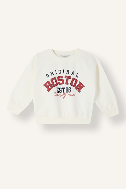 Baby Boy Regular Fit Printed Crew Neck Sweatshirt