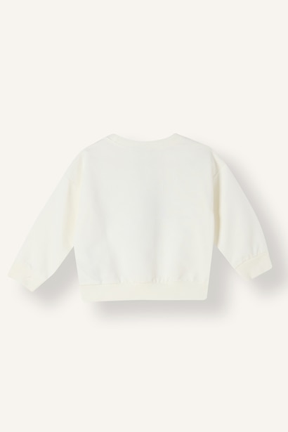 Baby Boy Regular Fit Printed Crew Neck Sweatshirt