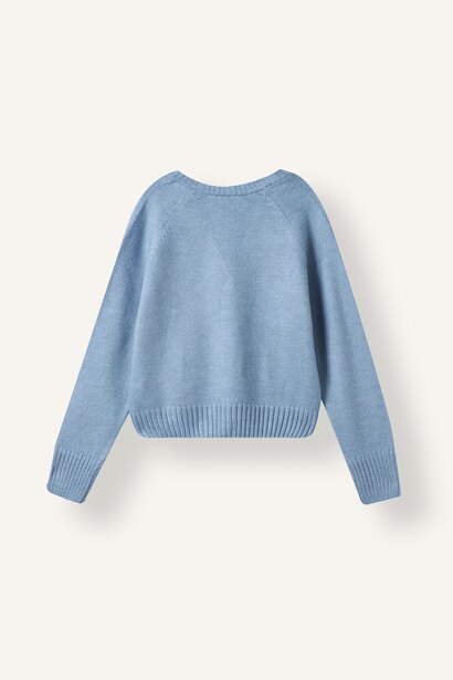 Regular Fit Cardigan