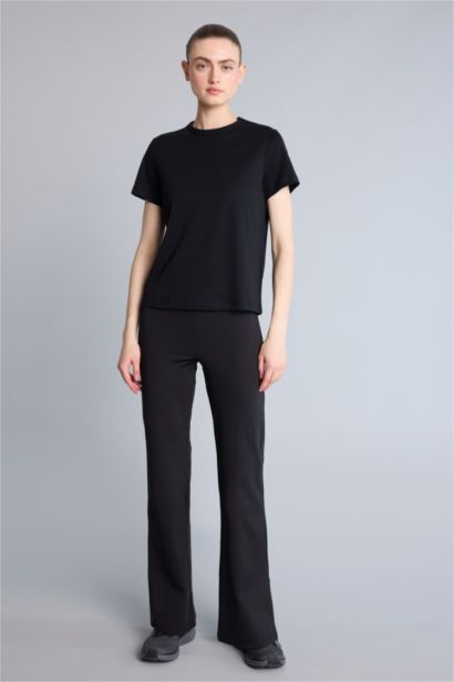 Standard Fit Cotton Short Sleeve T-Shirt