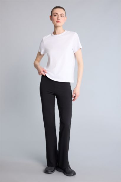 Standard Fit Cotton Short Sleeve T-Shirt