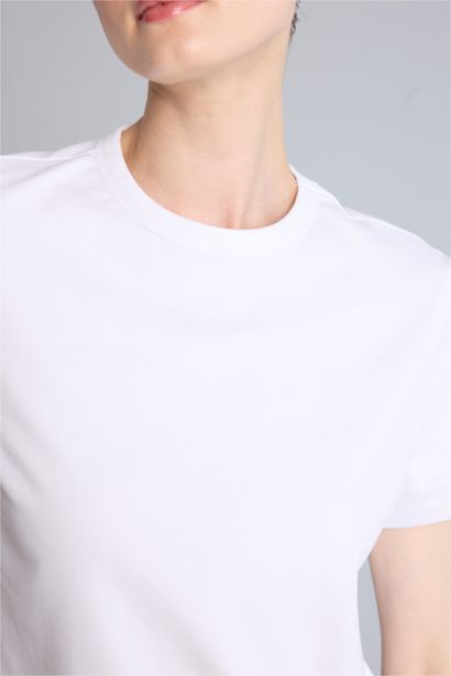 Standard Fit Cotton Short Sleeve T-Shirt