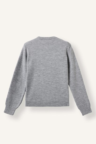 Regular Fit Pullover