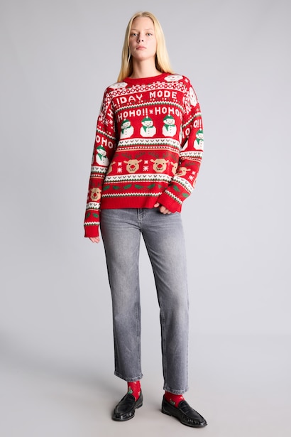 Regular Fit Crew Neck Knitted Christmas Pullover