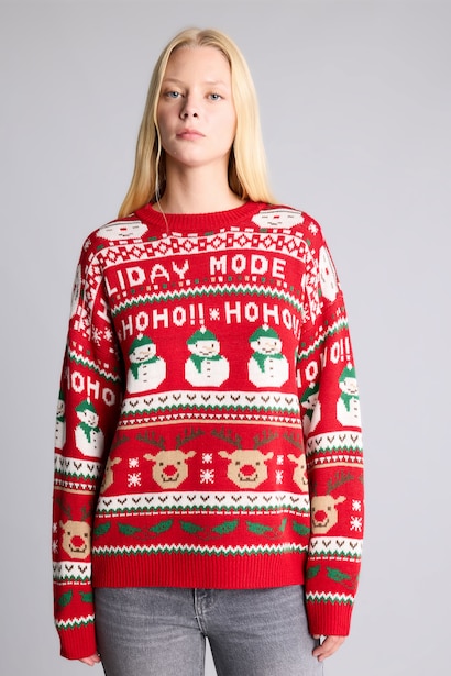Regular Fit Crew Neck Knitted Christmas Pullover