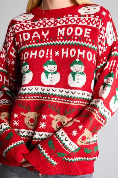 Regular Fit Crew Neck Knitted Christmas Pullover