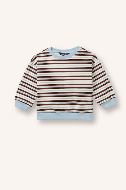 Regular Fit Striped Crew Neck Sweatshirt