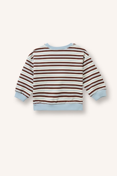 Regular Fit Striped Crew Neck Sweatshirt
