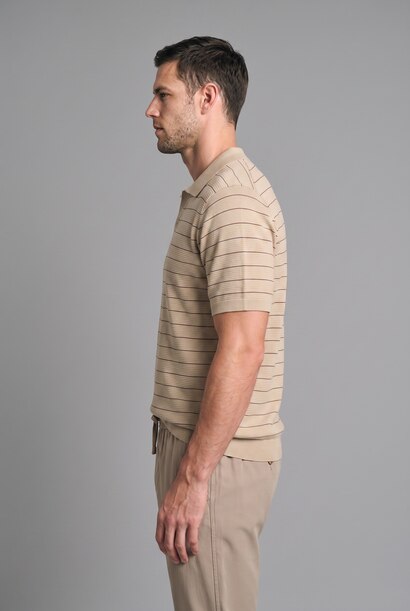 Standard Fit Striped Knit Polo Shirt