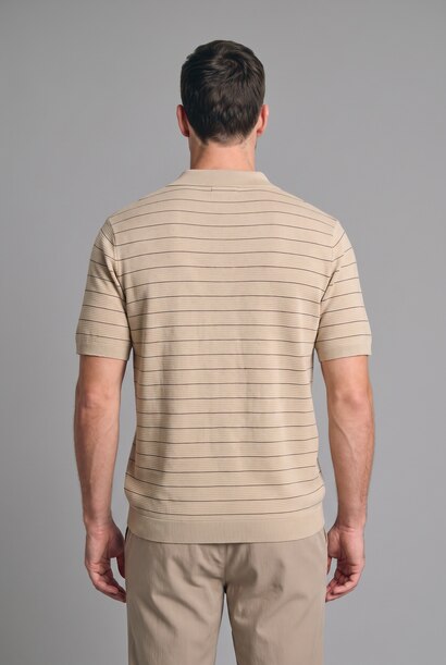 Standard Fit Striped Knit Polo Shirt