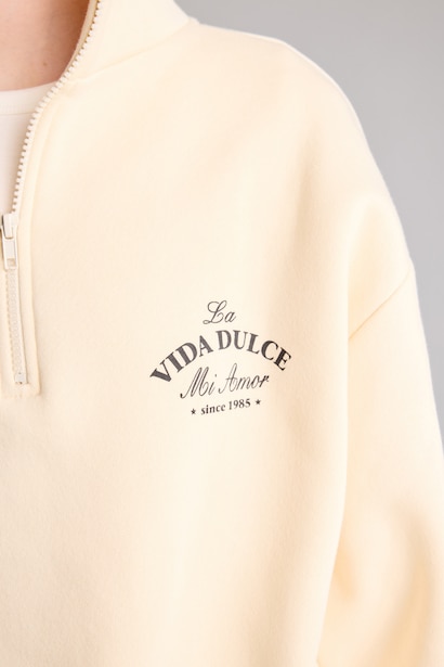 Regular Fit Thick Sweatshirt Fabric Sweatshirt