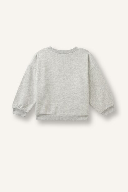 Regular Fit Crew Neck Sweatshirt