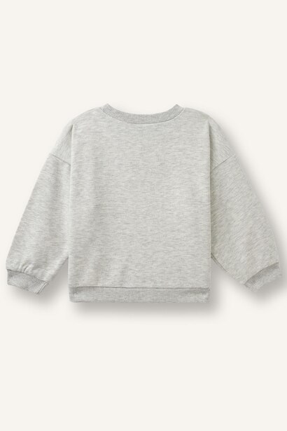 Baby Girl Regular Fit Thick Fabric Sweatshirt