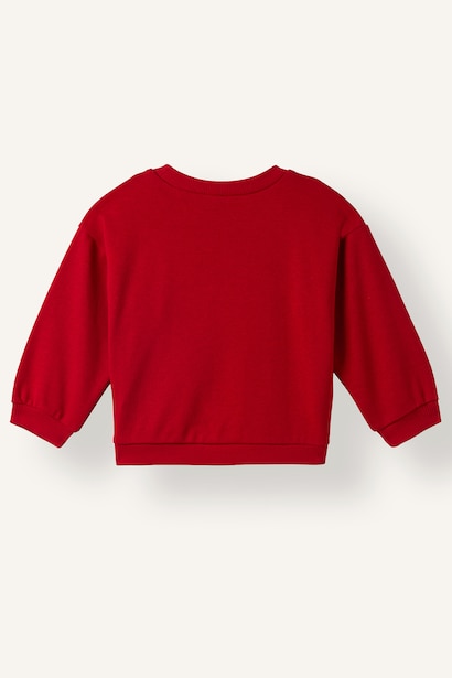 Regular Fit Crew Neck Sweatshirt