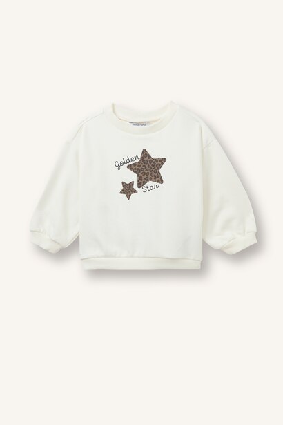 Regular Fit Crew Neck Sweatshirt