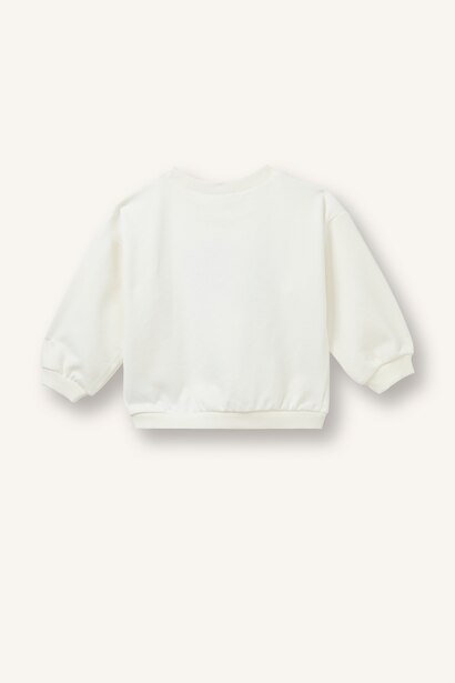 Regular Fit Crew Neck Sweatshirt
