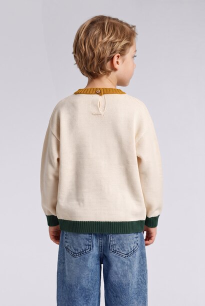 Baby Boy Oversize Fit Embroidered Pullover