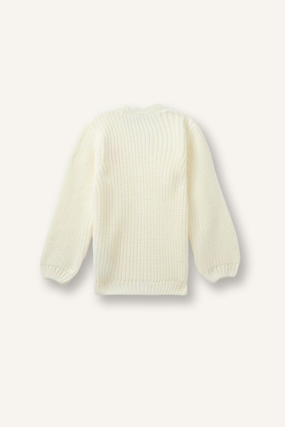 Regular Fit V-Neck Cardigan 3D