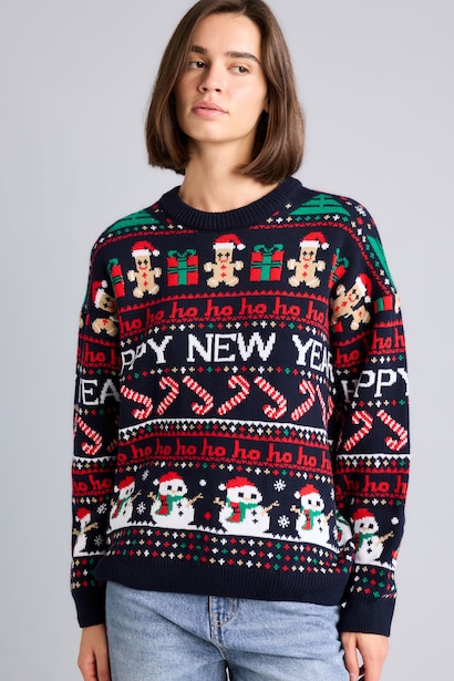 Regular Fit Knitwear Pullover