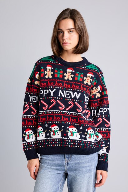 Regular Fit Knitwear Pullover