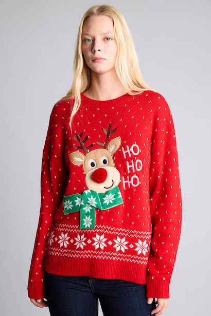 Regular Fit Crew Neck Knitted Christmas Pullover