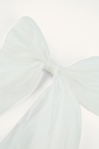 Girl Hair Clip