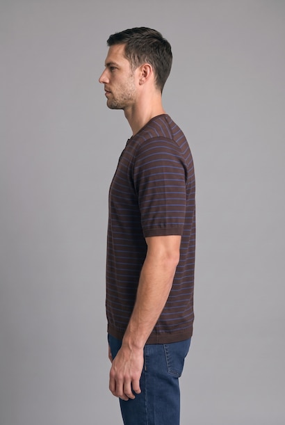 Standard Fit Striped Short Sleeve T-Shirt