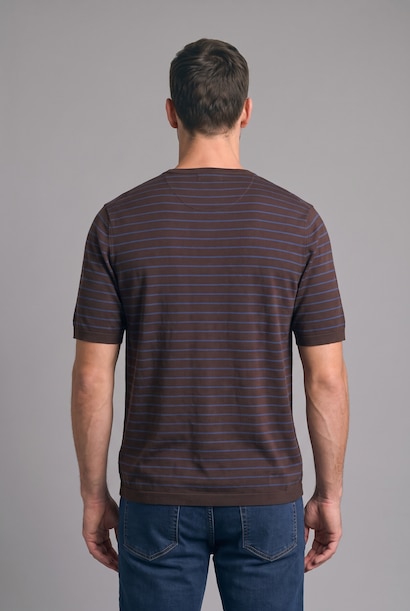 Standard Fit Striped Short Sleeve T-Shirt