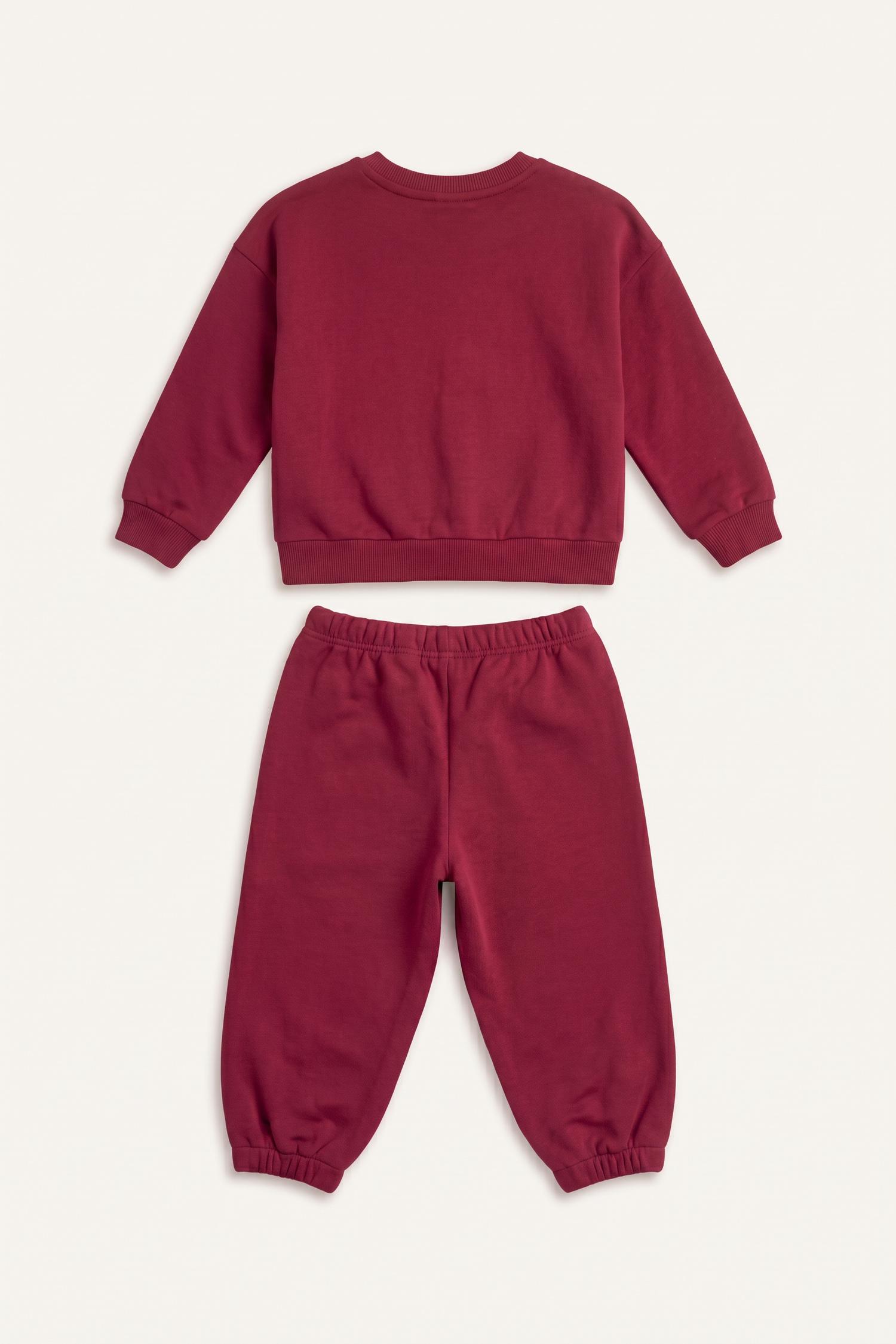 Baby Girl Cotton Regular Fit Top Bottom 2 Piece Set