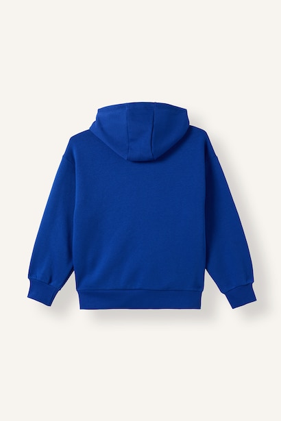 Brawl Stars İçi Yumuşak Tüylü Kalın Sweatshirt Erkek Çocuk