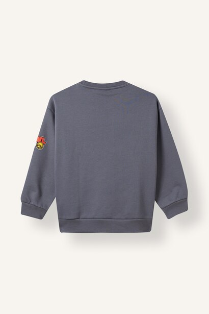 Regular Fit Brawl Stars Crew Neck Sweatshirt