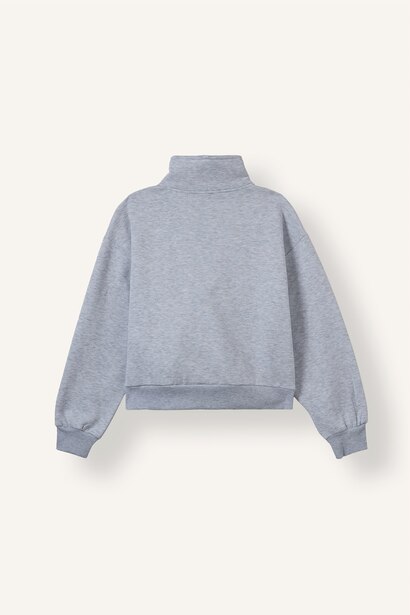 Regular Fit Thick Sweatshirt Fabric Cardigan