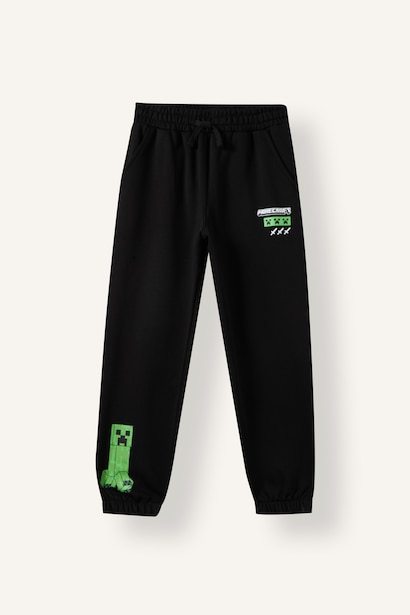 2 piece Regular Fit Hooded Minecraft Licensed Set