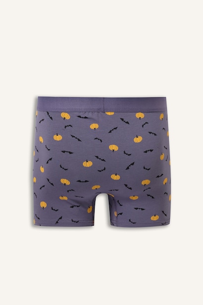 Regular Fit Desenli 3'lü Boxer