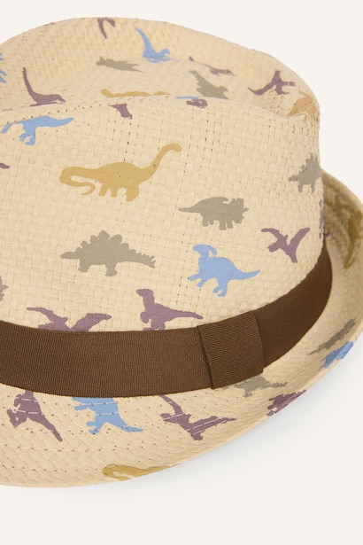 Boy Straw Hat