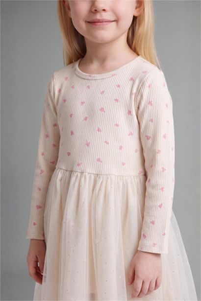 Embroidered Long Sleeve Knitted Dress