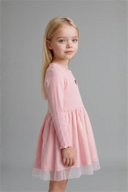 Embroidered Long Sleeve Knitted Dress