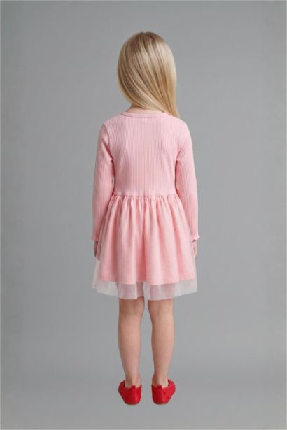 Embroidered Long Sleeve Knitted Dress