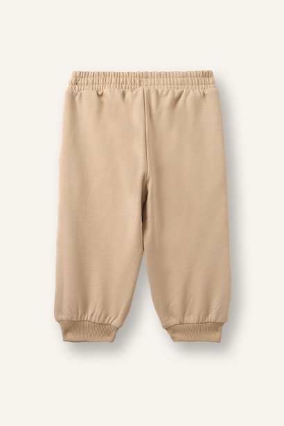 jogger Normal Waist Trousers