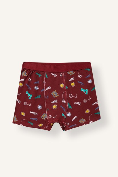 Baskılı 3'lü Boxer Erkek Çocuk