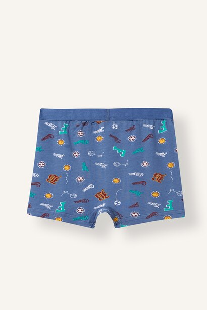 Baskılı 3'lü Boxer Erkek Çocuk